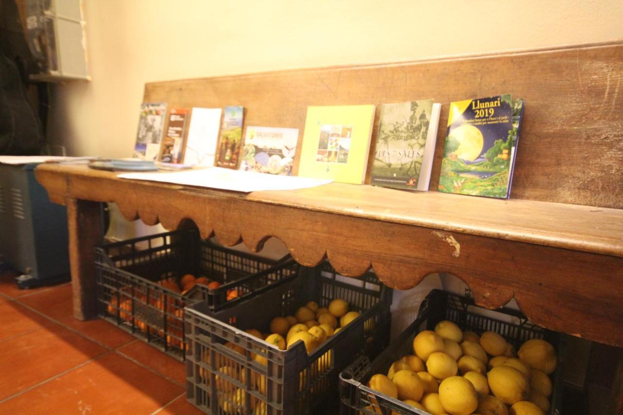 Hostal Centre Del Montsec Llimiana Luaran gambar